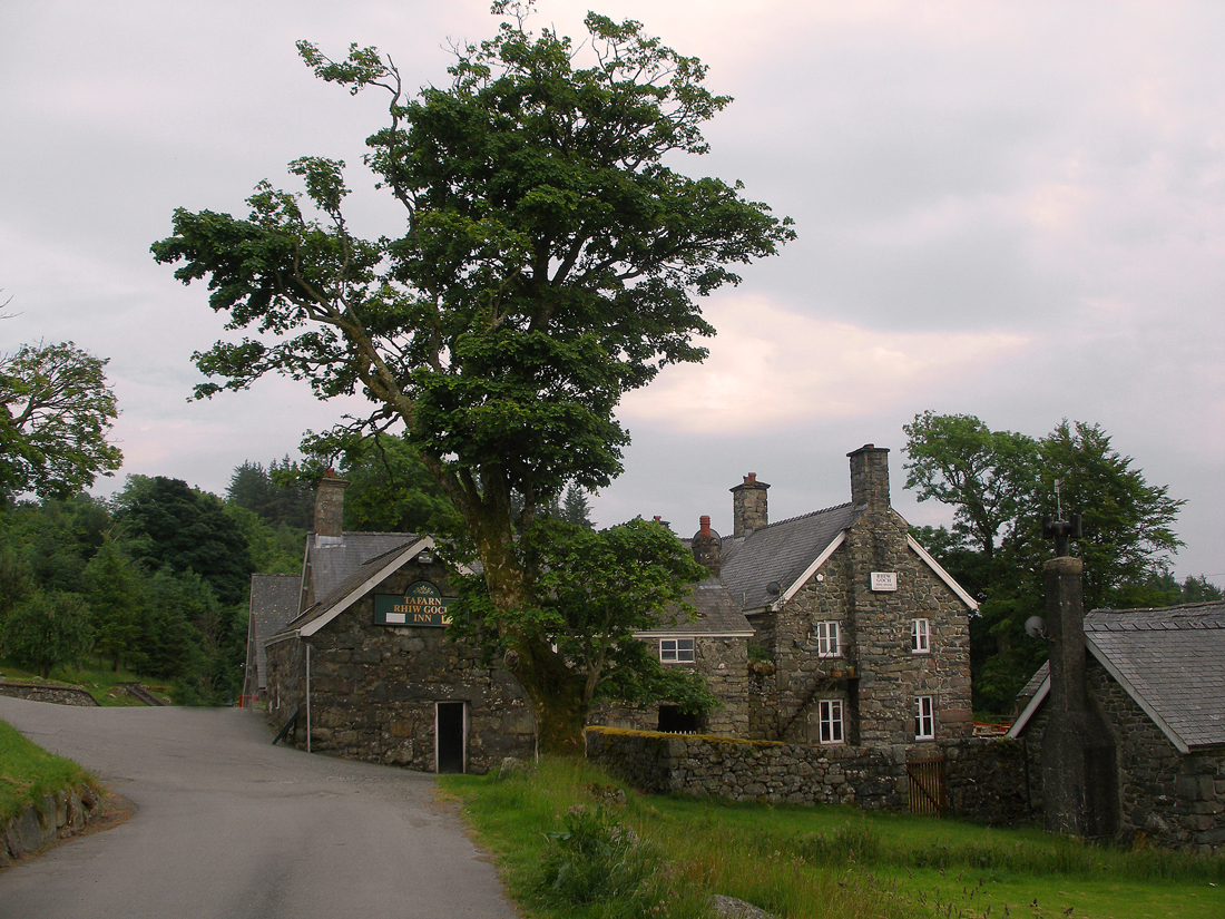 rhiw coch 1.jpg - OLYMPUS DIGITAL CAMERA